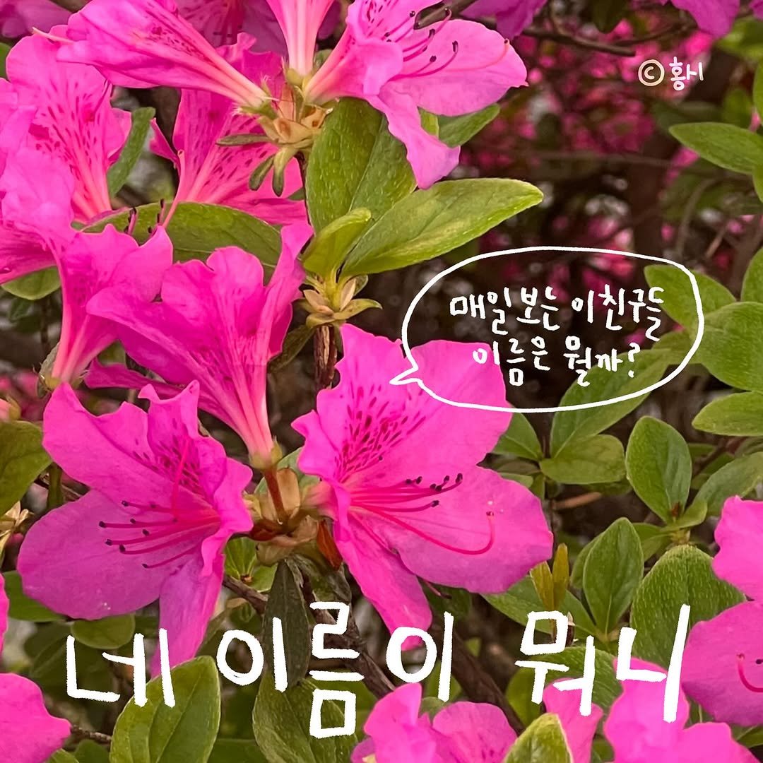 Photo by 홍시의 영감일기 on April 20, 2025.