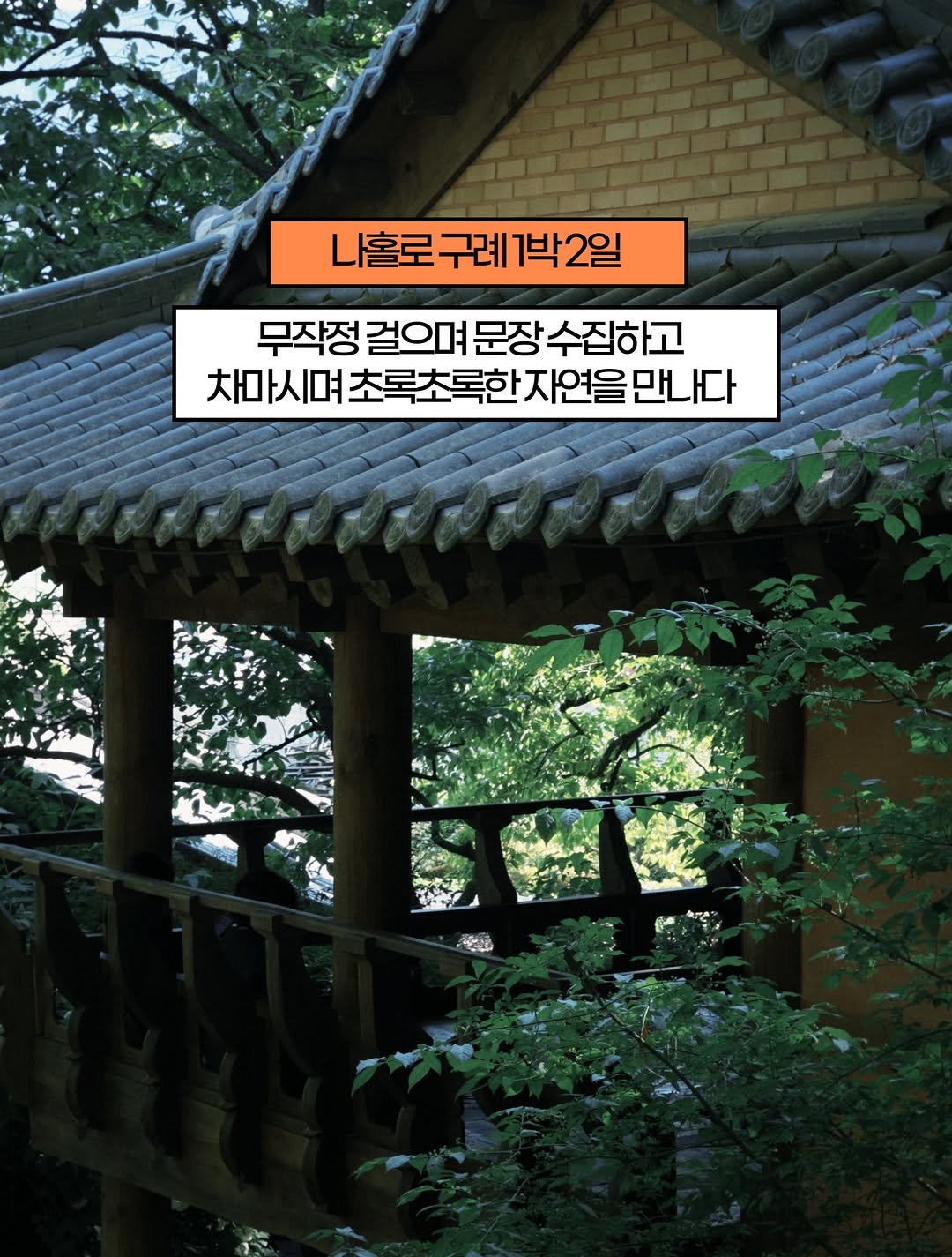 hong_0gam 게시물 이미지: #홍시의영감일기 🍊231 #구례여행 

고양이와 차 사진 보고 떠난 즉흥적인 1박...