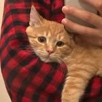 sinki_maru 프로필 사진