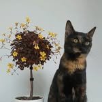 kym_again 프로필 사진