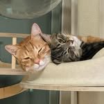 bol2chu_zip 프로필 사진