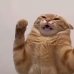 maggsooni 프로필 사진