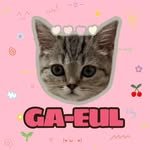 falling_in_falll 프로필 사진