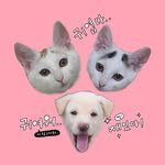 lo__vely_3 프로필 사진