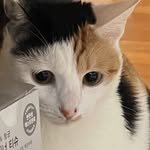 seozzery 프로필 사진