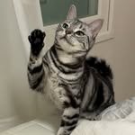 dduki_ddubab 프로필 사진