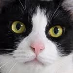 durummmiiii 프로필 사진