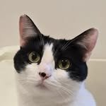 kongs3obang 프로필 사진