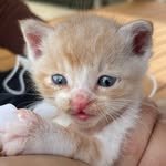 newstar__1004 프로필 사진