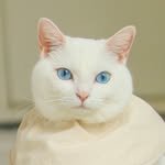 lomomong0_0 프로필 사진