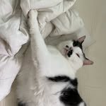 my_love_jhgm 프로필 사진