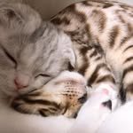 be.ro.ri 프로필 사진