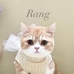 ddo.rang_ 프로필 사진