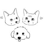 tora_rion_haru 프로필 사진