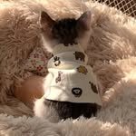 your.ri_cat 프로필 사진