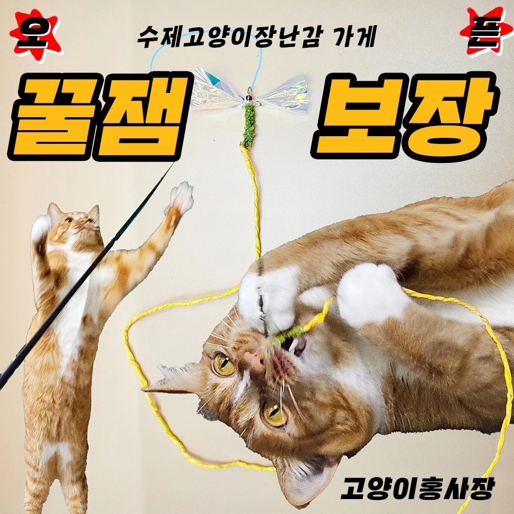 hong_cat_gold 게시물 이미지: ❤️수제 고양이장난감 가게❤️ 행복한 고양이는 나를 웃게한다 
집에만 있는...