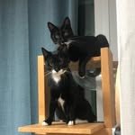 second_of_october 프로필 사진