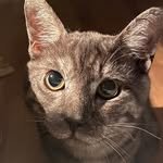 bibi.s2s2 프로필 사진