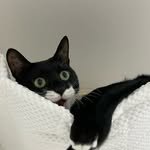 x_miro_xc 프로필 사진