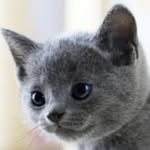 salondunbock 프로필 사진