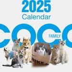 cucocofamily 프로필 사진