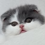 yoon_bok_hee 프로필 사진