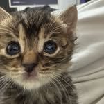 kimhariiii_bo 프로필 사진