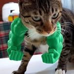lullu_lalla24 프로필 사진