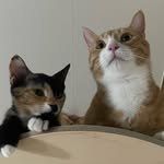 choi.park.jang.su 프로필 사진