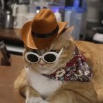 ban_ttaeng 프로필 사진