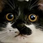 zang.chen2 프로필 사진