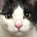 reo._.daily 프로필 사진