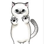 mozzily_dooyu 프로필 사진