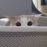 yeolmoo_boochu 프로필 사진
