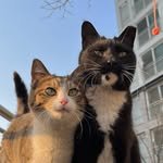 donggle_bandal 프로필 사진