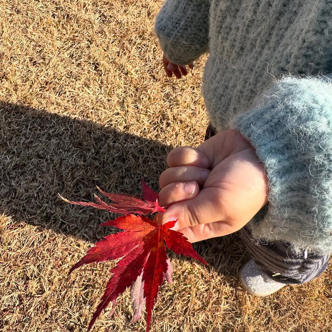 Photo by 홍두깨책방 & 카페 on November 15, 2025. May be an image of child, outdoors and text.