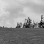 hetoffe.official 프로필 사진