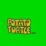 potatoturtleee 프로필 사진