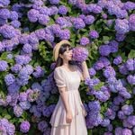 sona_tree 프로필 사진