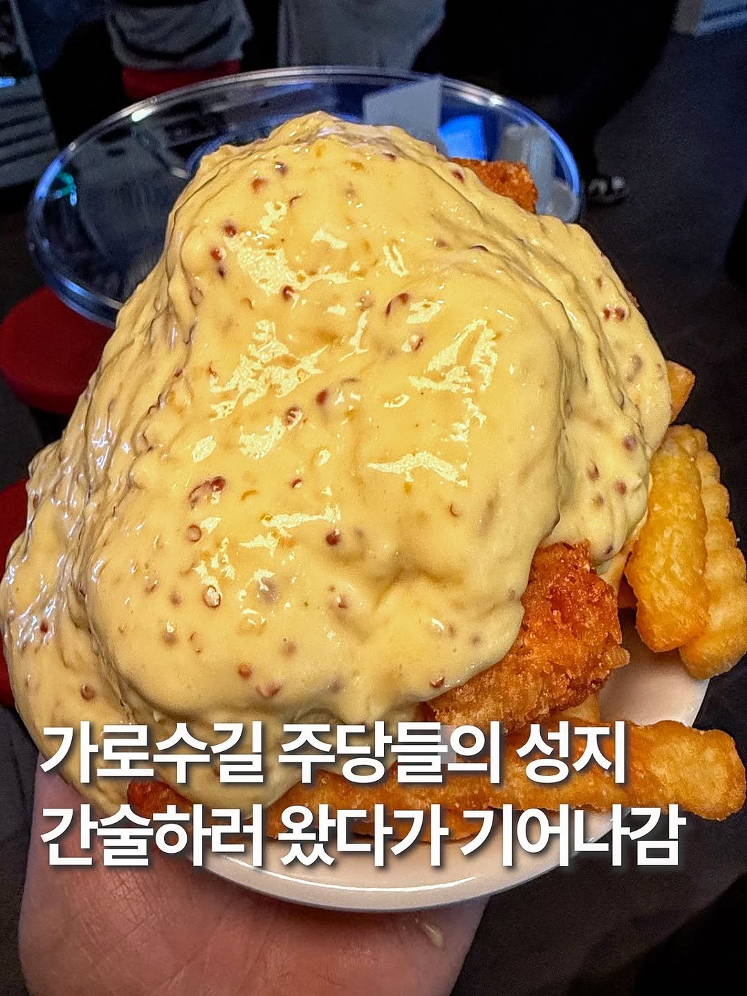 Photo by 훈스타포크🍴[서울맛집/ 경기맛집/ 인천맛집] on September 27, 2025. May be an image of cutlet and text that says '가로수길 주당들의 성지 간술하러 왔다가 왔다가기어나감'.