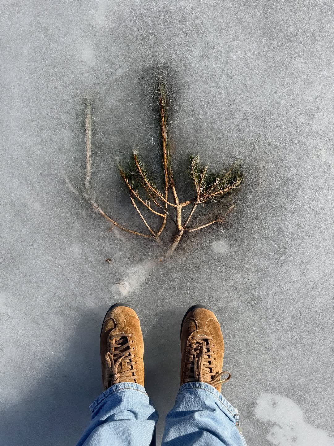 Photo by Hoyeon on January 31, 2026. May be an image of snow.