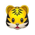 horang_curator 인스타그램 프로필 사진