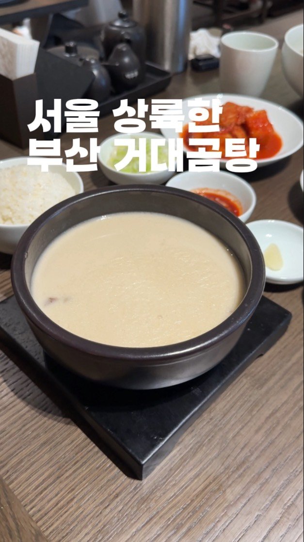 horang_curator 게시물 이미지: 거대 한 거 왔다는 소식에 달려가본 곰탕집 부산에서는 안 먹어 봤는데 진짜 주변에서...