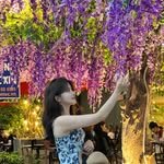 프로필