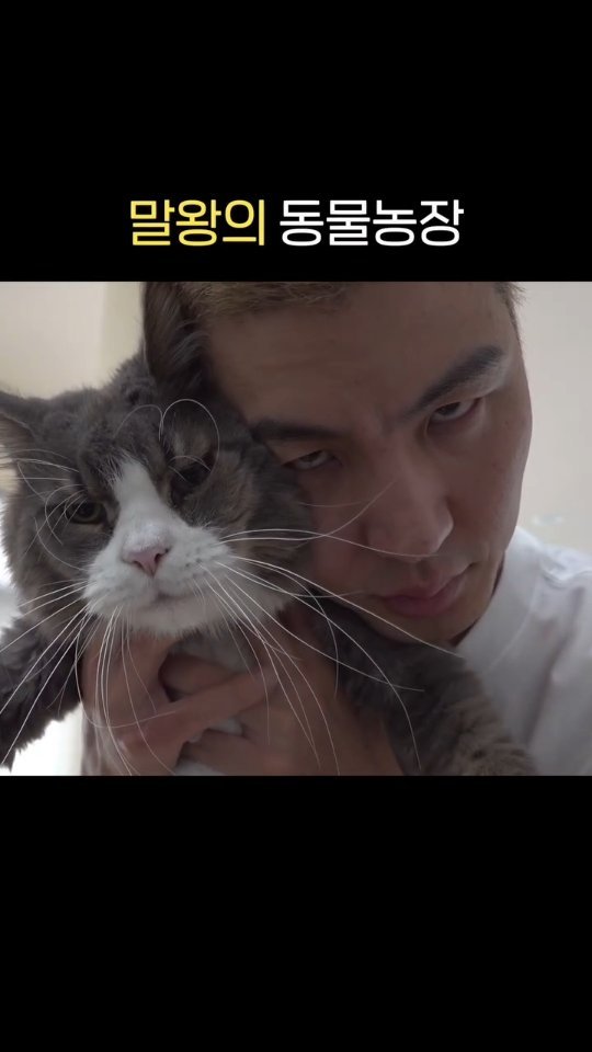 horseking123 게시물 이미지: 동물원 종결

#말 #강아지 #고양이 #냥스타 #멍스타