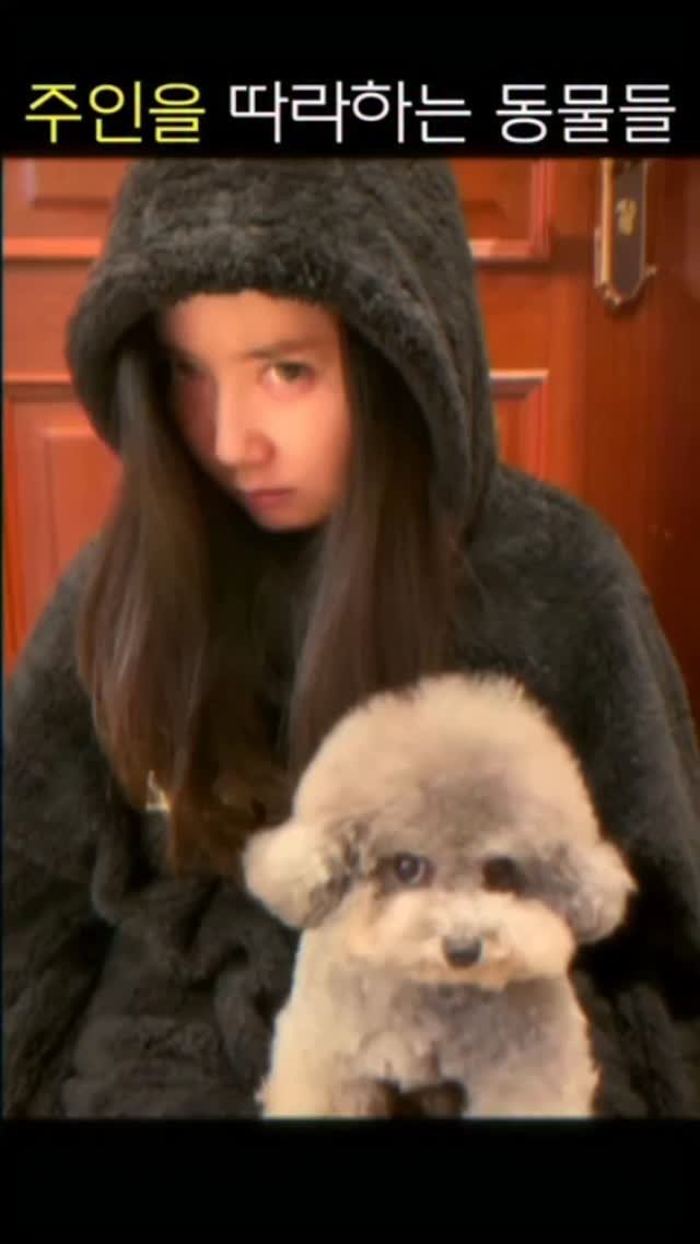 horseking123 게시물 이미지: 🐯❤️🐶🐱

#냥스타그램 #멍스타그램