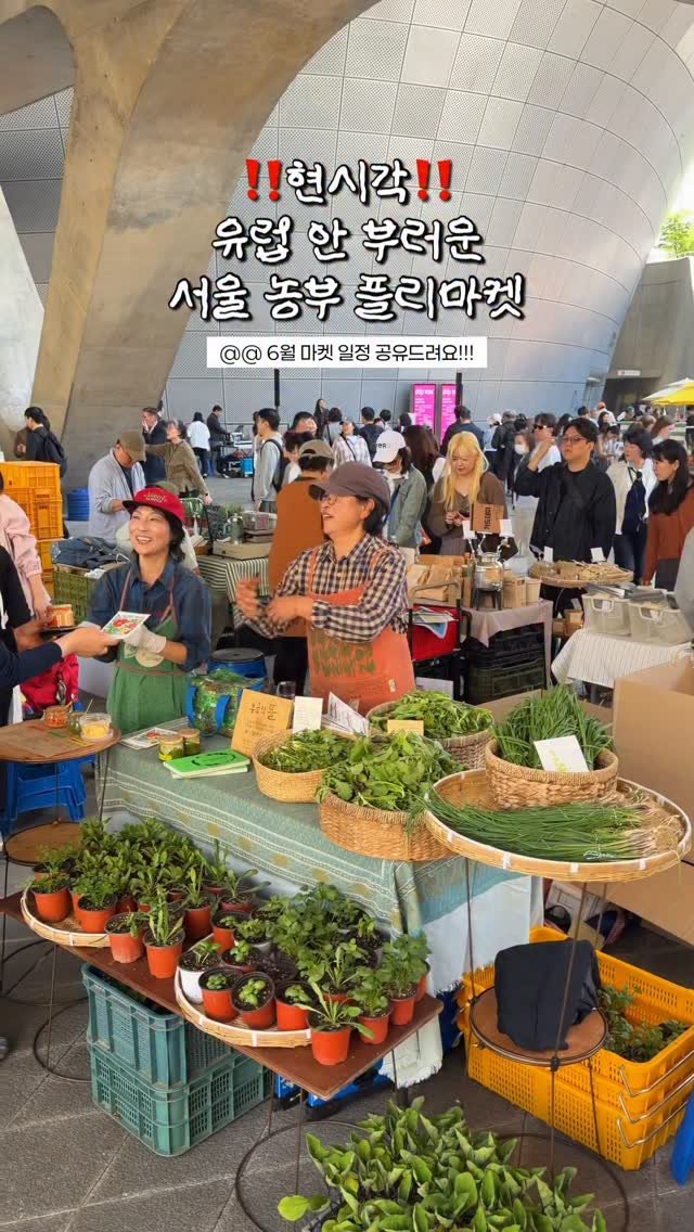 hot_chu 게시물 이미지: [공유] 이보다 더 특별한 마켓이 있을까요…?🌿☀️
서울 최애 마켓 6월 일정...