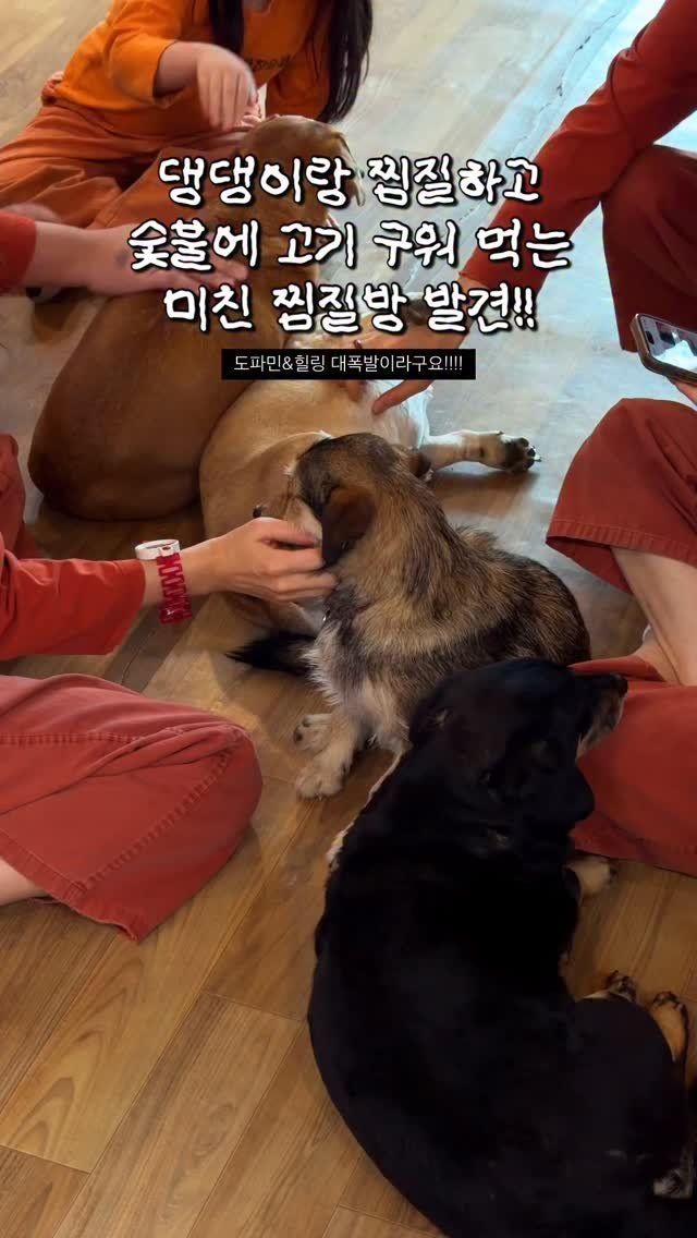 hot_chu 게시물 이미지: [공유]댕댕이랑 찜질하면서 숯불 바베큐 가능한 곳이??!!🤯🔥

서울 근교에 이런...