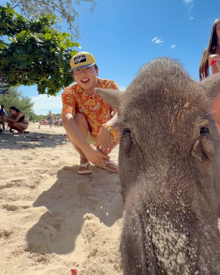 hot_chu 게시물 이미지: 아시아에 단 하나뿐인 돼지섬 여행 🐷🏝️

찐짜 투명하리만큼 맑은 바다
서양인들이...