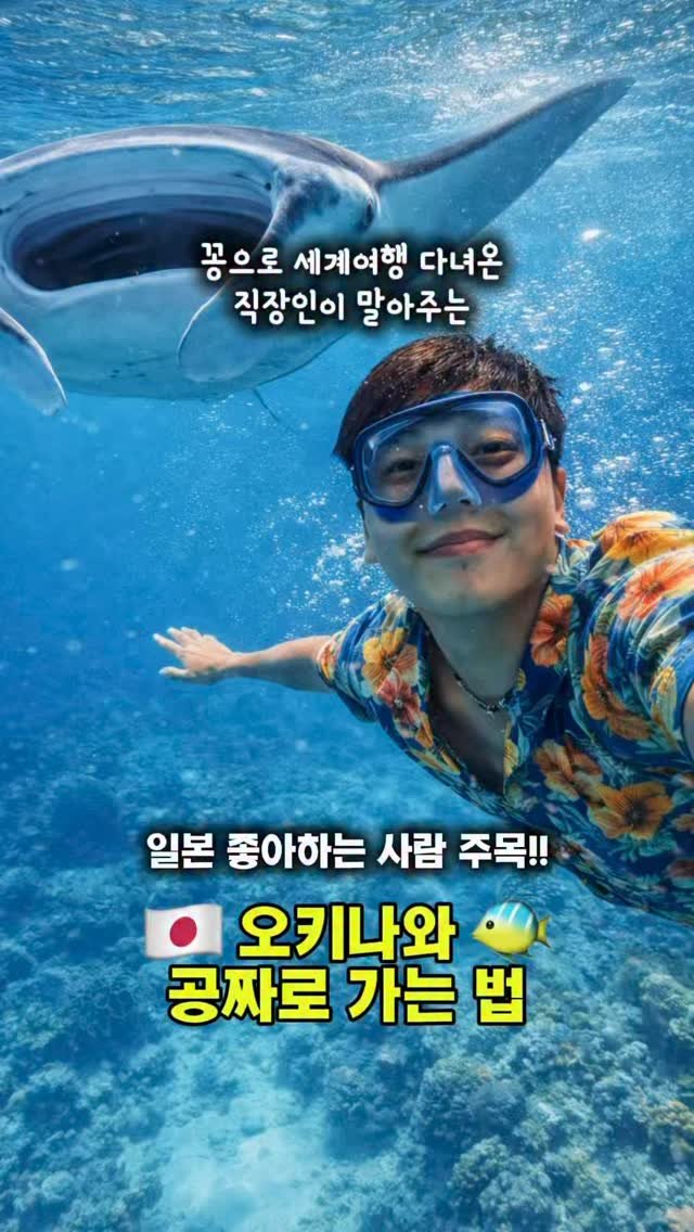 hot_chu 게시물 이미지: 아니 오키나와를 공짜로 보내준다고?? 🇯🇵🐠

인스타 아이디 있는 사람...